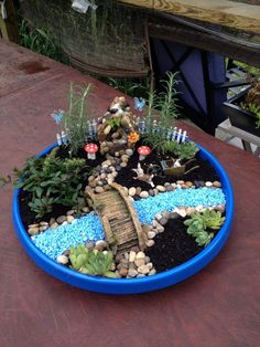 a blue bowl filled with plants and rocks