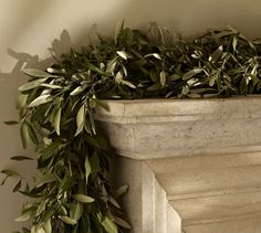 a close up of a plant in a vase on a mantle with a wall behind it