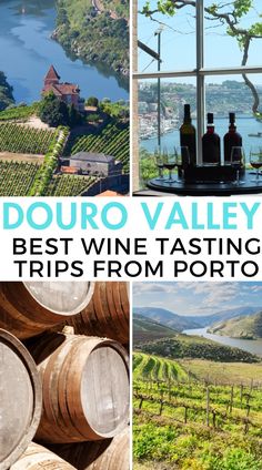 the douro valley wine tasting trip from portillo, portugal is one of the best things to see in europe