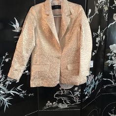 This Beautiful Jacket With Rose Gold Metallic On Blush Pink-Peach Damask Fabric Is Stunning. It’s Light Weight, And Beautiful Coordinated With The Right Combinations. Made Of Polyester And Acetate. Attached Are Examples Of What Can Be Paired With This Jacket. Pants, Shoe, If Interested Refer To My Closet. Zara Spring Evening Outerwear, Damask Fabric, Metallic Jacket, Pink Peach, Zara Jackets, Damask, Blazer Suit, Blush Pink, Gold Metal