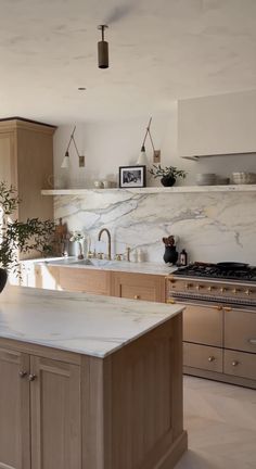 a large kitchen with marble counter tops and wooden cabinetry, along with potted plants