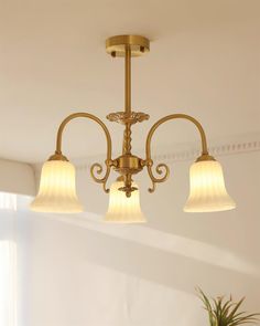 three light brass chandelier with white glass shades in a living room or dining room