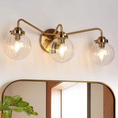 a bathroom vanity light with two bulbs on it and a potted plant in front of the mirror