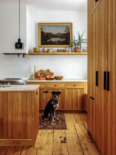 a dog sitting in the middle of a kitchen with wood floors and cabinets on either side