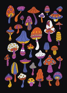 an image of colorful mushrooms on black background