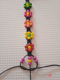 the beaded necklace is made with different colored beads