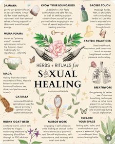 Womb Healing, Witch Spirituality, Magic Herbs, Feminine Health, Energy Healing Spirituality, Herbal Healing, Herbal Magic, Herbs For Health, Herbal Oil