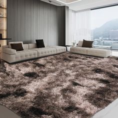 a living room with a large rug and two couches in front of a window