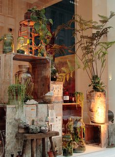 an assortment of potted plants on display in a store window with wooden crates and stools