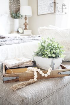 a tray with some books and a potted plant sitting on top of a couch