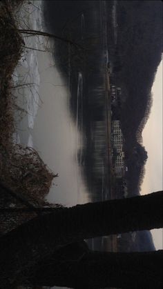 the reflection of trees in the water is very dark