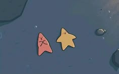 two starfishs floating in the water next to each other