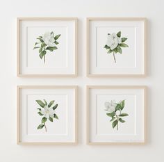 four framed pictures with white flowers and green leaves