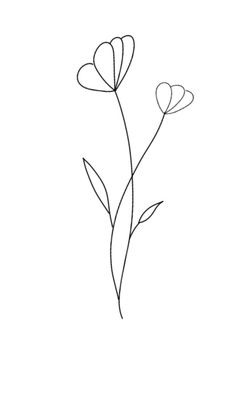 the outline of three flowers on a white background