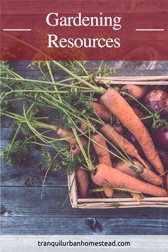 a box filled with carrots sitting on top of a wooden table