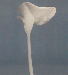 a large white flower on top of a table