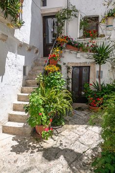 the stairs lead up to an old house with potted plants and flowers on either side