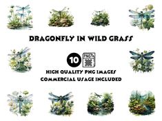 dragonflys in wild grass with the words, high quality png images commercial usage included