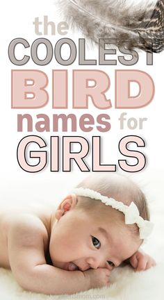 The coolest bird names for girls. Picture of a bird's feather and a baby girl with a white headband. Bird Names For Babies, Baby Names Starting With A, Wren Name, Fall Worksheets For Preschool, Female Names With Meaning, Female Pet Names, Names Meaning