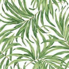 green leaves are shown on a white background for wallpaper or fabric design, as well as an image of palm trees