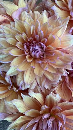 a bunch of flowers that are sitting on a table