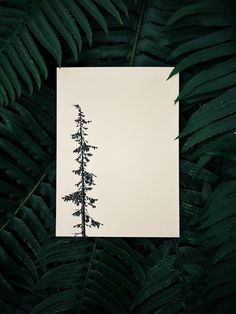 a piece of paper with a pine tree drawn on it next to some green leaves