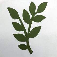 a close up of a green plant on a white background with the leaves cut out