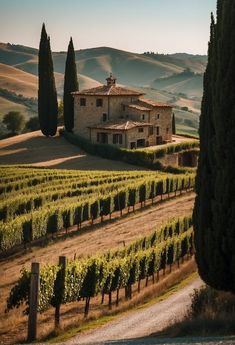 an old house in the middle of a vineyard