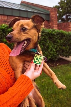 a woman holding a dog in her arms with a tag on it's collar