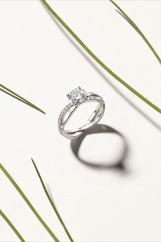 Diamond Ring Photography Photo Ideas, Silver Ring Photography, Diamond Ring Photoshoot, Diamond Jewellery Photography, Diamond Ring Photography, Ring Photoshoot Ideas, Cincin Simple, Engagement Ring Photography, Ring Photoshoot