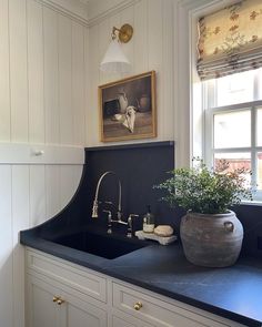 a kitchen with a sink, window and potted plant