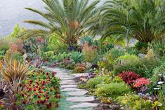 a garden filled with lots of different types of plants