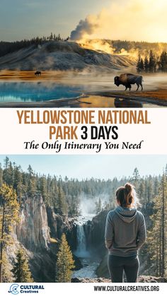 A stunning collage featuring a bison by a geothermal pool, steaming geysers, and a visitor overlooking a waterfall, showcasing Yellowstone National Park 3 Days: The Only Itinerary You Need.