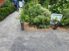 two people walking down a path in the middle of some bushes and trees with beehives on them