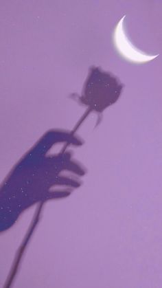 the shadow of a person's hand holding a rose with a half moon in the background