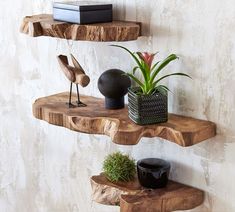 three wooden shelves with plants and books on them