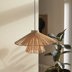 a bamboo lamp hanging from the ceiling next to a potted plant