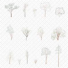 the different types of trees are shown in this drawing technique, which is easy to draw and