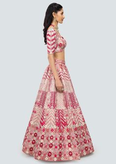 Cerise pink applique and embellished heavy kali mirror work tissue lehenga with broad lehenga border, blouse and broad border net dupatta. Kali Lehenga, Tissue Lehenga, Pink Applique, Pink Lehenga, Cerise Pink, Net Dupatta, Mirror Work, Lehenga, Mirror