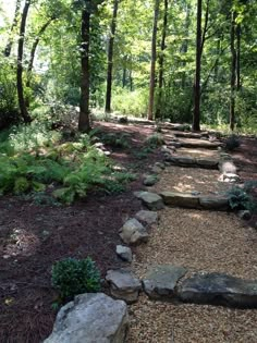 a stone path in the middle of a forest