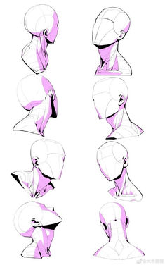 the head and shoulders of a woman in various positions, with different angles to each side