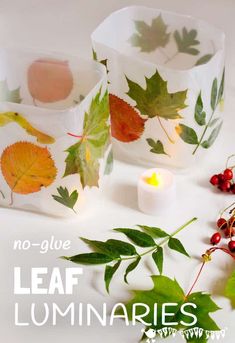 two clear containers filled with leaves next to a candle and some berries on the table