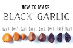 how to make black garlic day 2 days 3 days 6 days 7 days 8 days