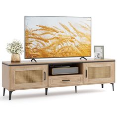 an entertainment center with a large television on it's stand and a plant in front of it