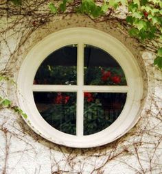 a round window with vines growing on the wall and below it is a red rose