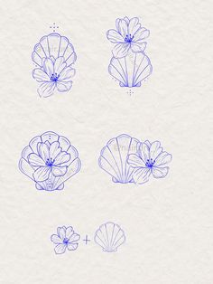 some flowers and shells are drawn in blue ink on a white paper with the words, flower