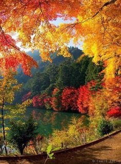 an autumn scene with colorful trees and water