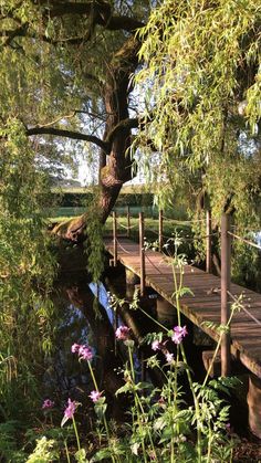 a wooden bridge over a small stream surrounded by trees and flowers in the foreground