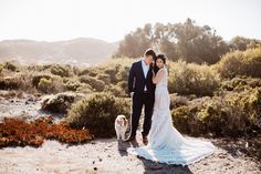 a bride and groom standing in the desert with their dog, looking at each other