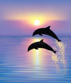 two dolphins jumping out of the water at sunset